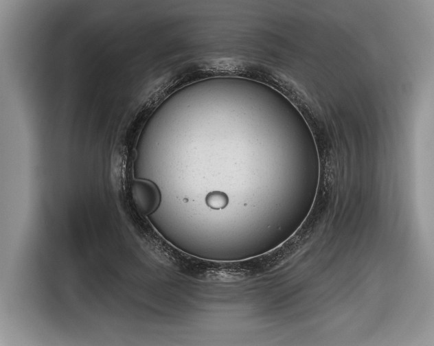 X0000116430739200912151018