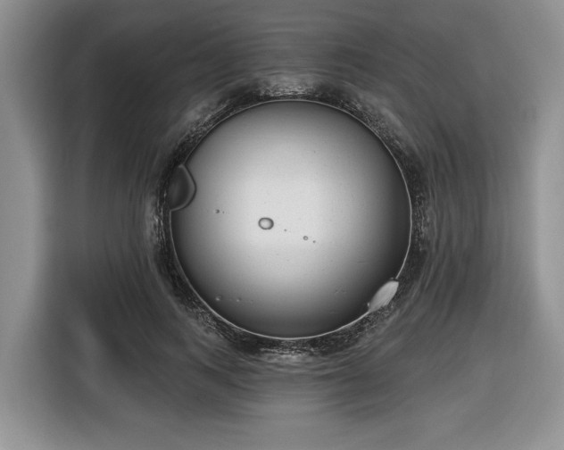X0000116430743200912151018