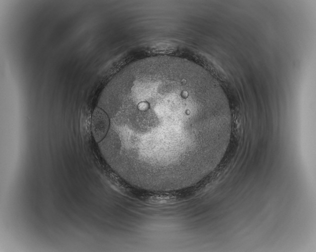 X0000116430745200912151018