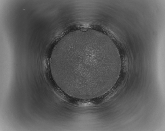 X0000116430747200912151018