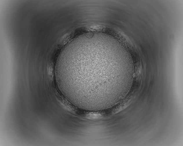 X0000116430749200912151018