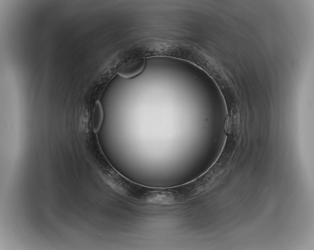 X0000116430750200912151018