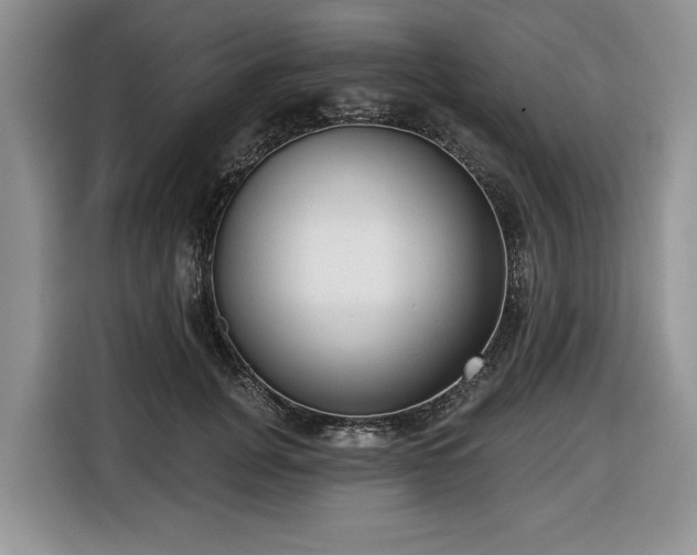 X0000116430751200912151018
