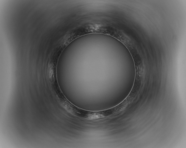 X0000116430754200912151018