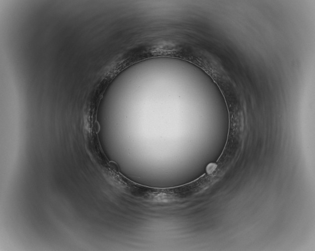 X0000116430755200912151018