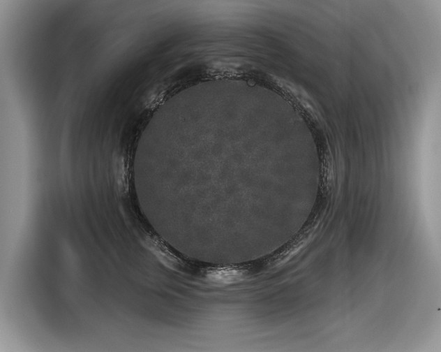 X0000116430759200912151018