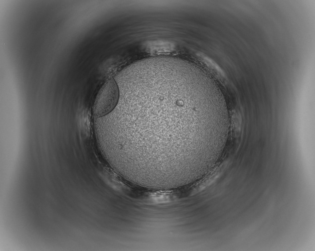 X0000116430761200912151018