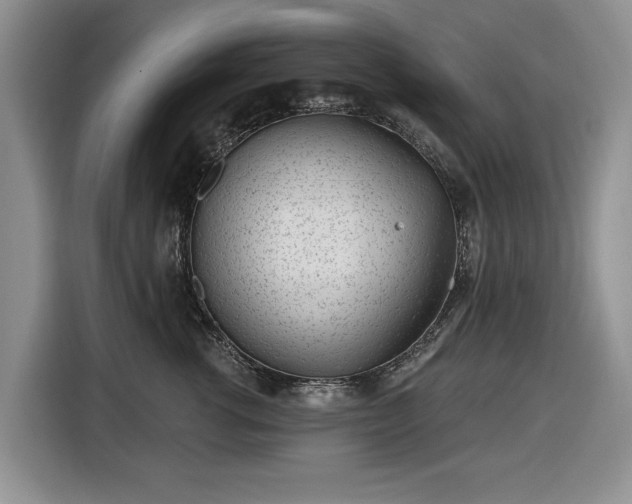 X0000116430762200912151018
