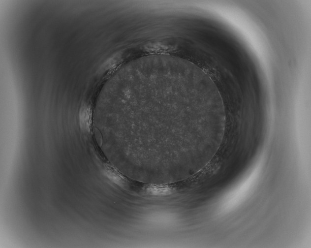 X0000116430767200912151018