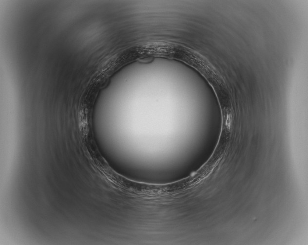X0000116430771200912151017