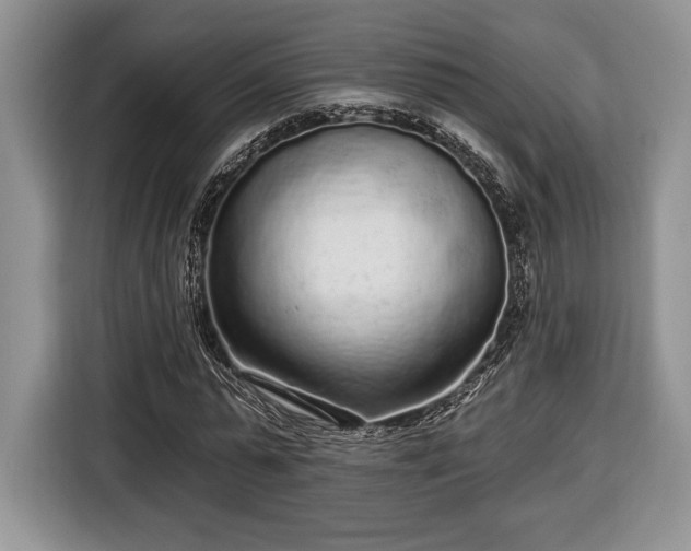 X0000116430775200912151017