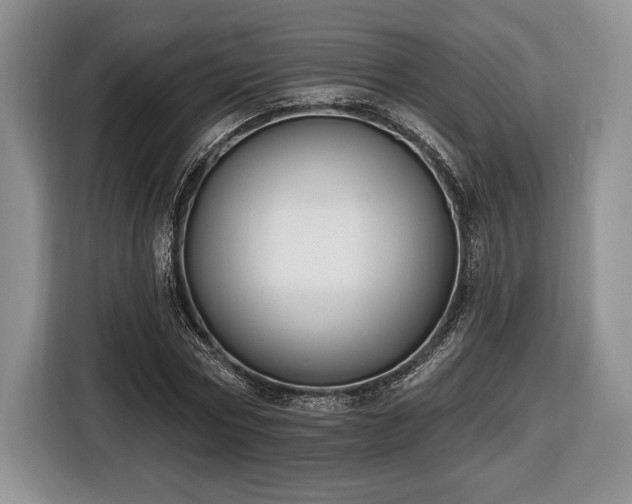 X0000116430778200912151017