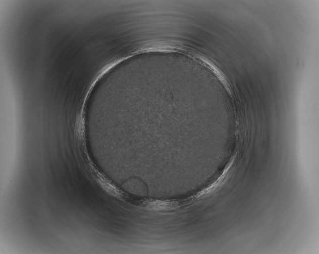 X0000116430779200912151017