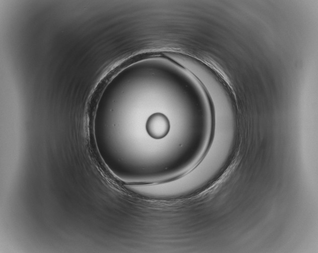 X0000116430781200912151017