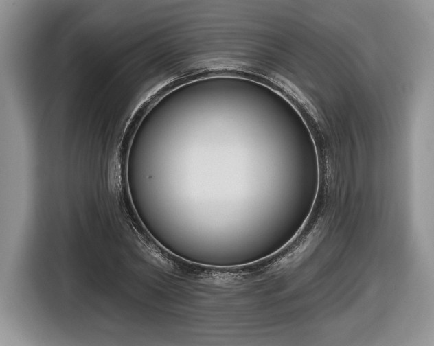 X0000116430782200912151017