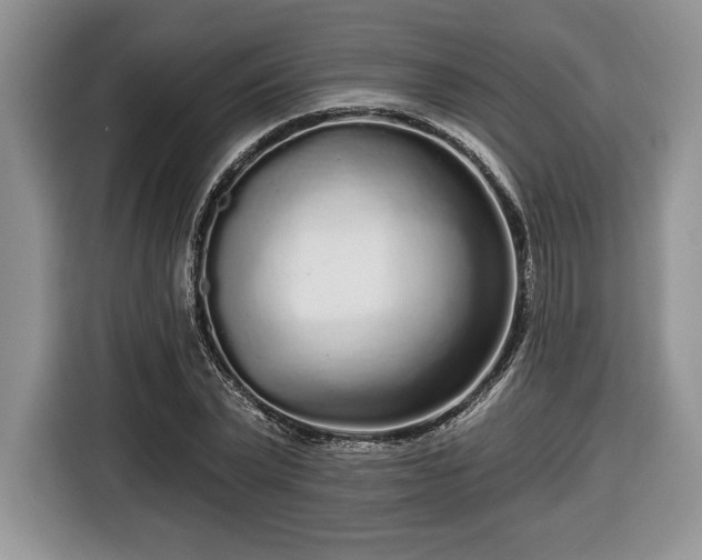 X0000116430783200912151017