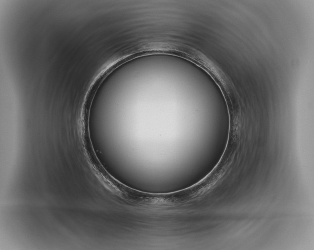 X0000116430787200912151017