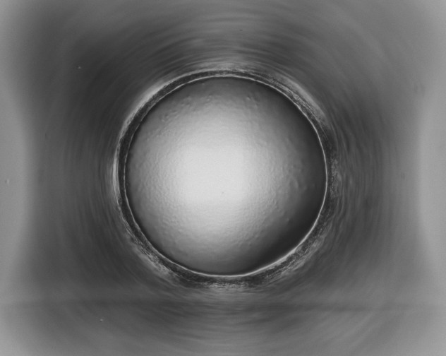 X0000116430788200912151017