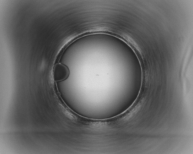 X0000116430789200912151017