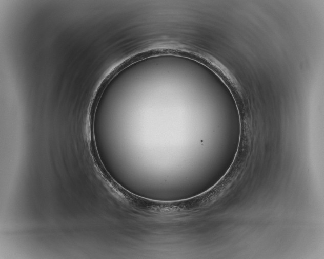X0000116430791200912151017