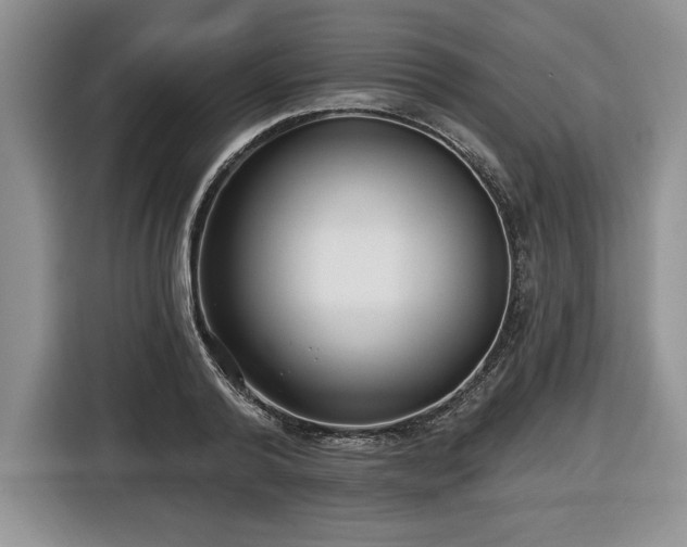 X0000116430792200912151017