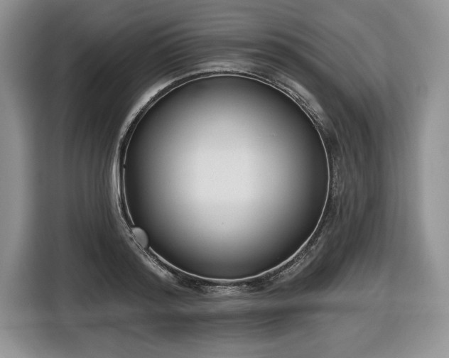 X0000116430796200912151017