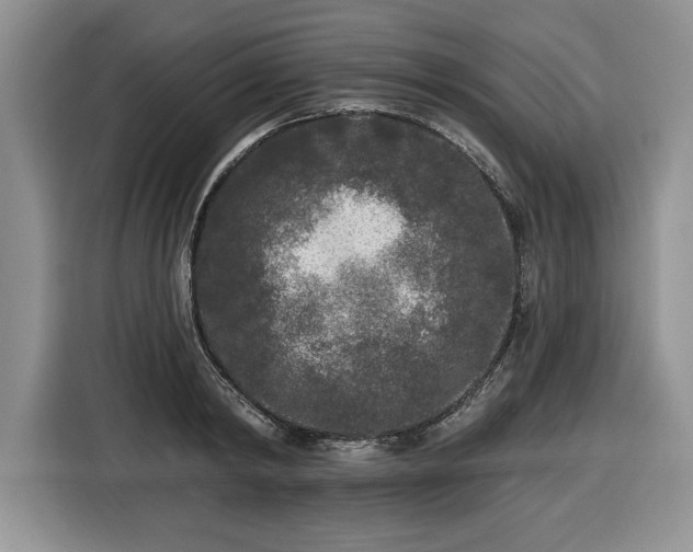 X0000116430798200912151017
