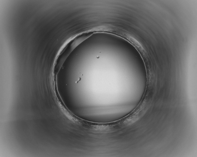 X0000116430800200912151017