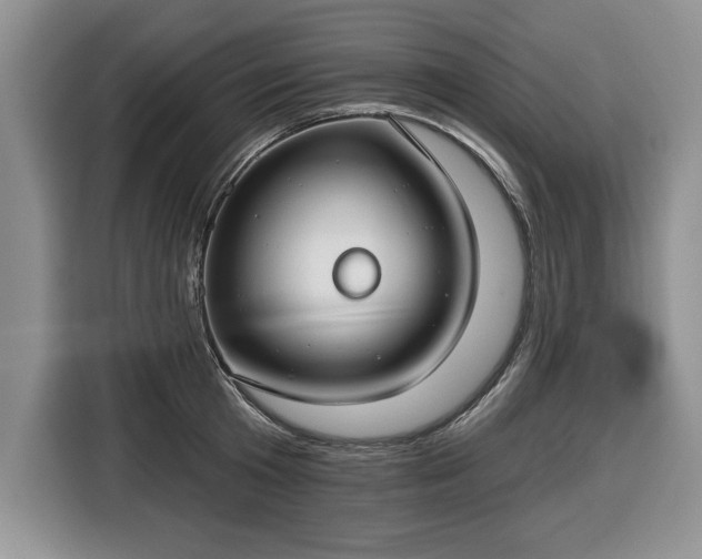 X0000116430801200912151017
