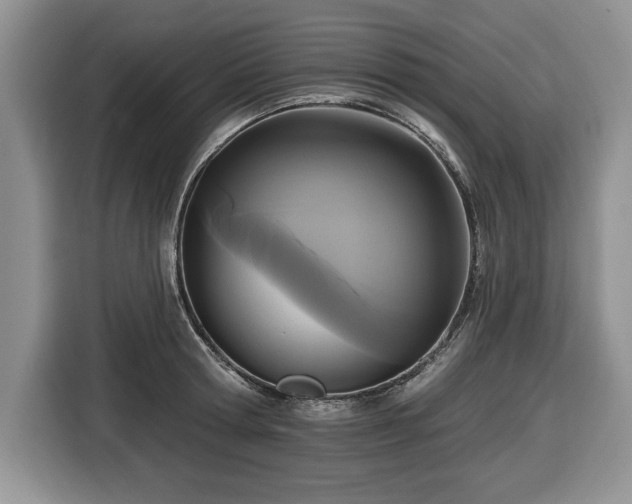 X0000116430802200912151017