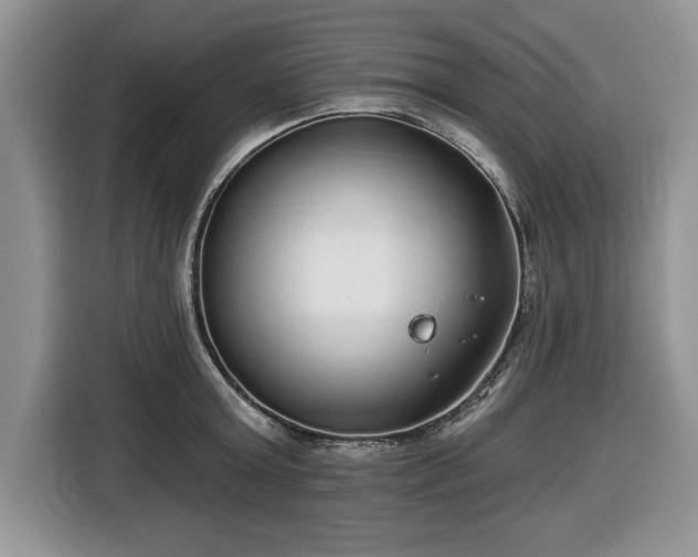 X0000116430803200912151017