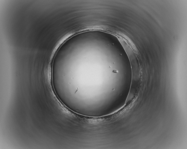 X0000116430804200912151017