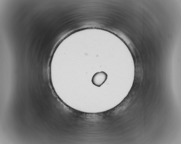 X0000116430807200912151017