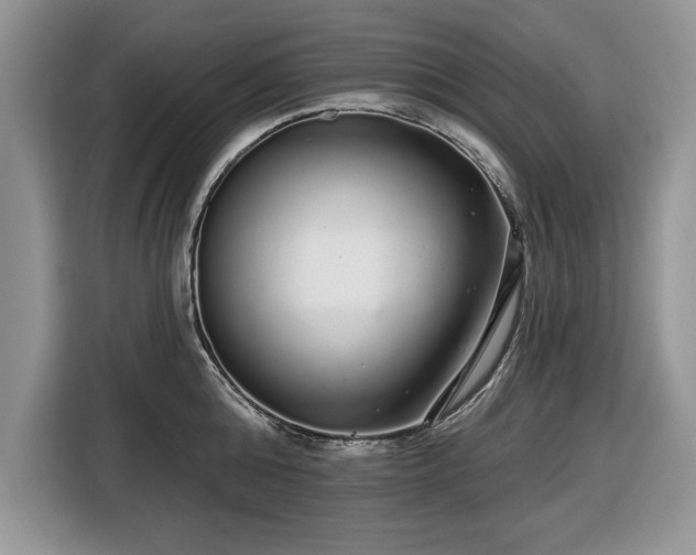 X0000116430808200912151017