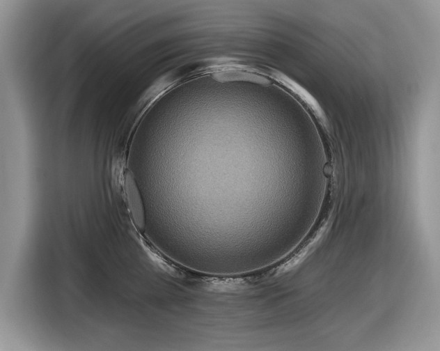 X0000116430809200912151017
