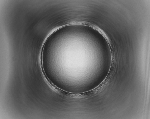 X0000116430811200912151017