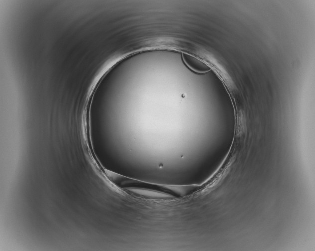 X0000116430812200912151017
