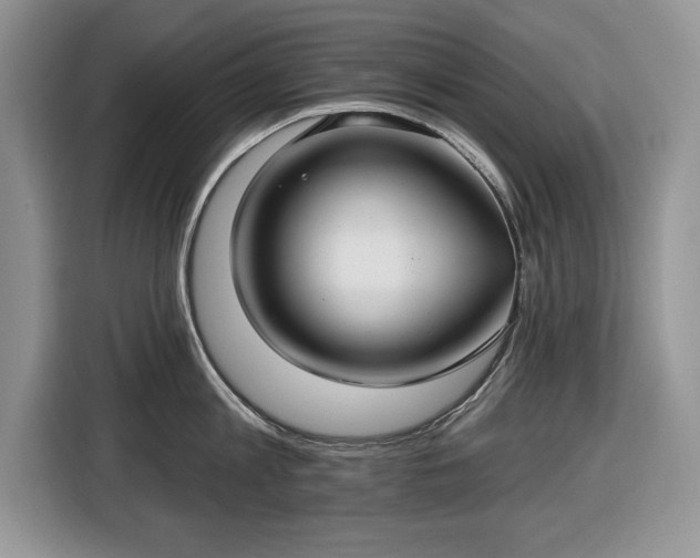 X0000116430813200912151017