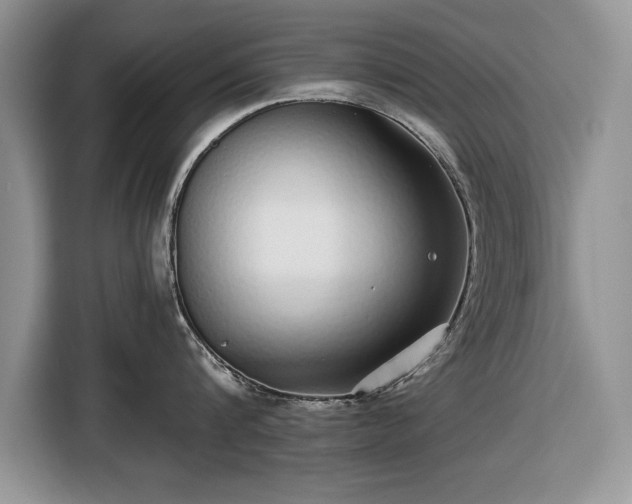 X0000116430816200912151017