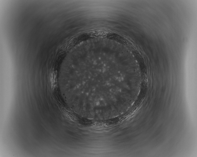 X0000116430818200912151016