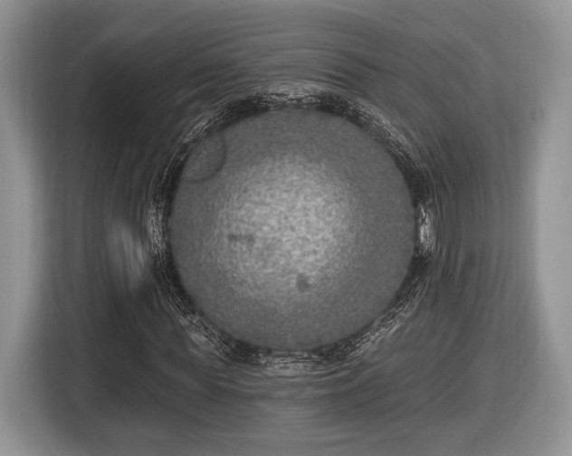 X0000116430819200912151016