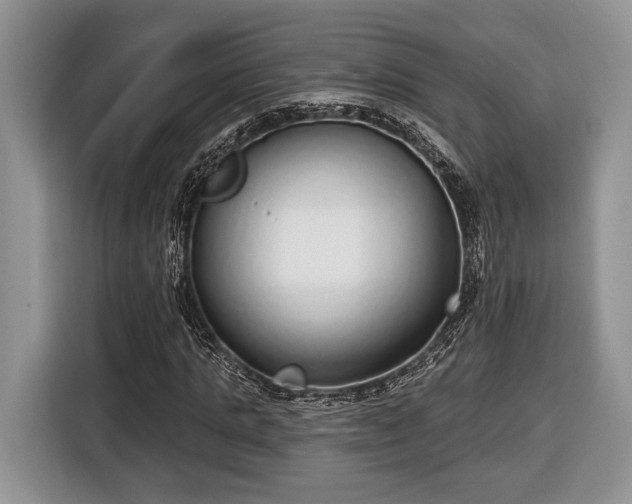 X0000116430821200912151016