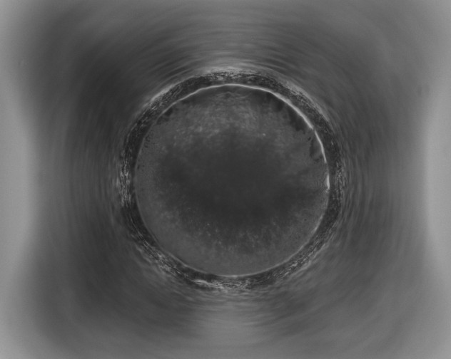 X0000116430822200912151016