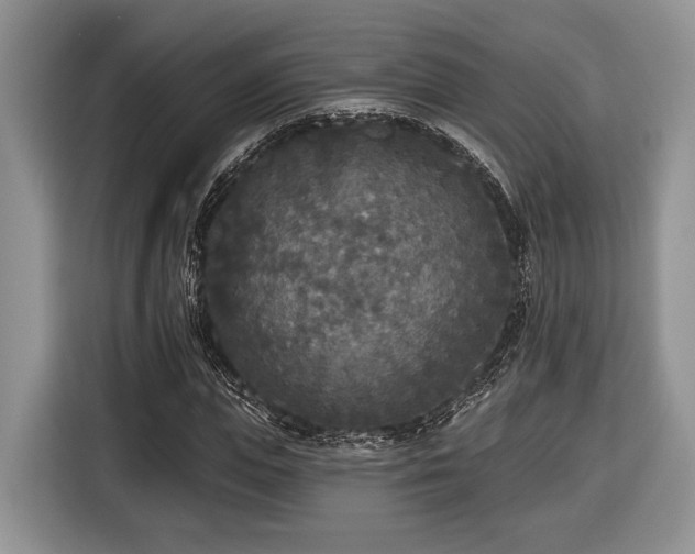 X0000116430823200912151016