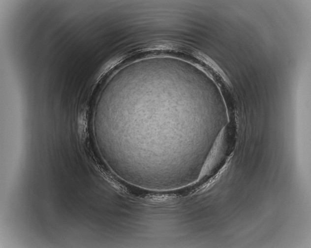 X0000116430826200912151016