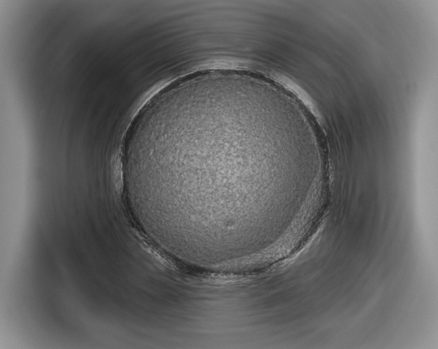 X0000116430829200912151016
