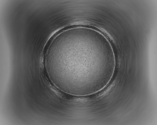X0000116430830200912151016