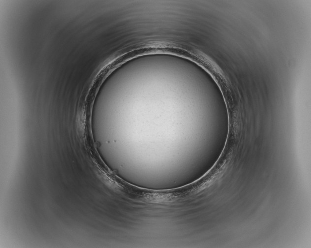 X0000116430831200912151016