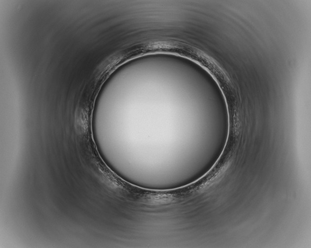 X0000116430833200912151016