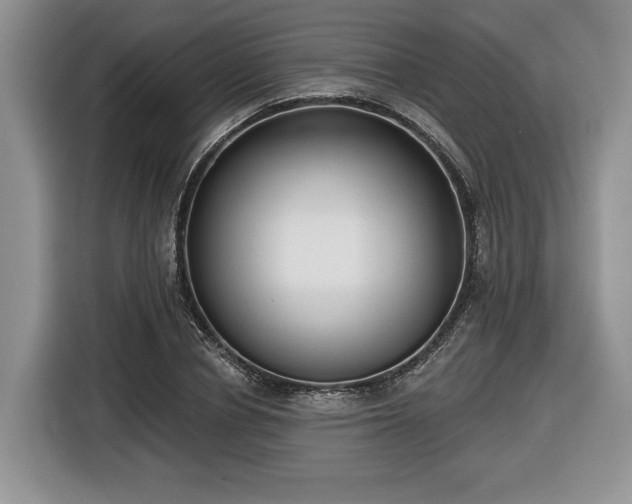 X0000116430834200912151016